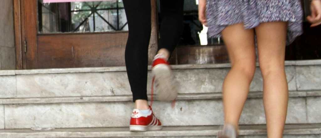 Los chats de los degenerados de la escuela Houssay