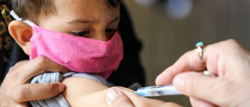  Qué aconseja la Sociedad Argentina de Pediatría a la hora de vacunar niños