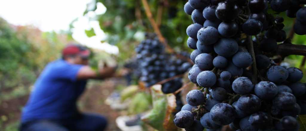 Extienden el plazo para inscribirse en el seguro agrícola