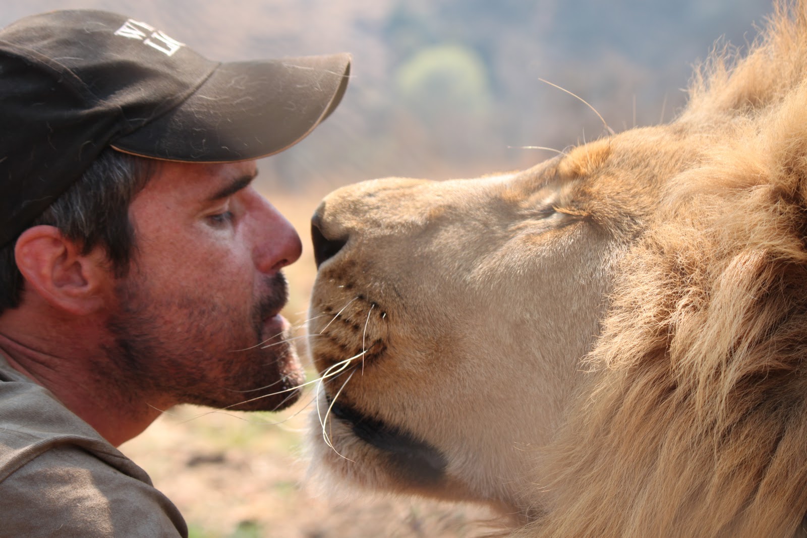 Gatitos? la emotiva historia del encantador de leones - Mendoza Post
