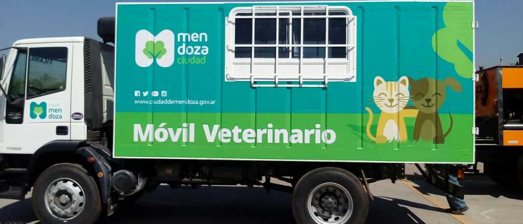 Móvil Veterinario de la Ciudad en mayo