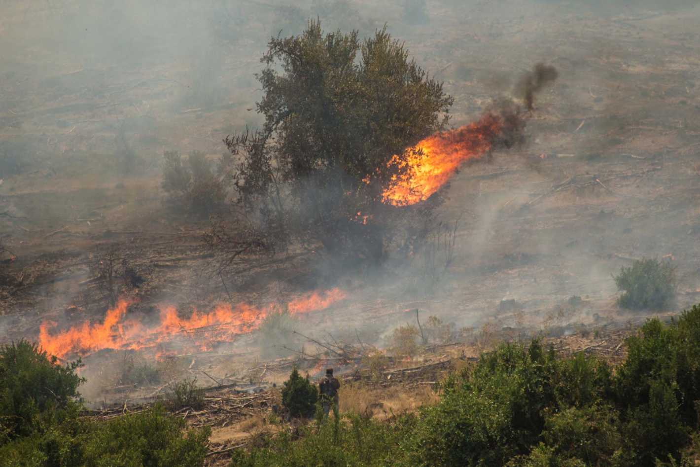 En Chile investigan si los incendios son intencionales Mendoza Post