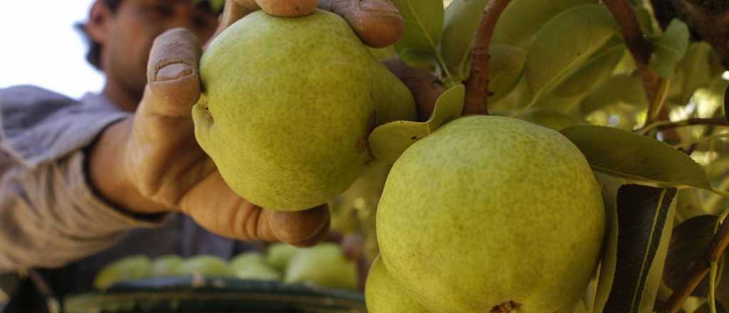 Aprobaron la prórroga de la emergencia económica para productores frutícolas