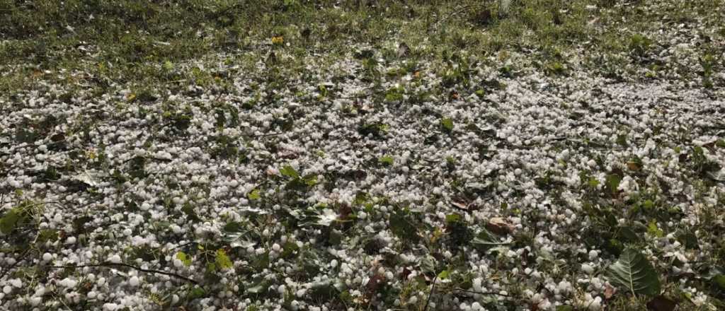 Imágenes de la fuerte tormenta de granizo en San Rafael