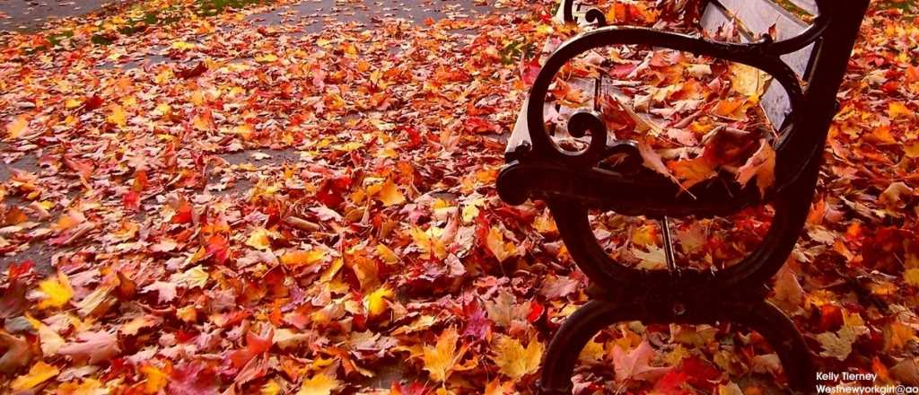 El tiempo en Mendoza: temperatura otoñal y cielo con nubes