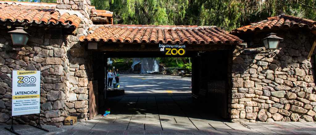 Tras la muerte de varios animales, reabrió el Zoo de Mendoza