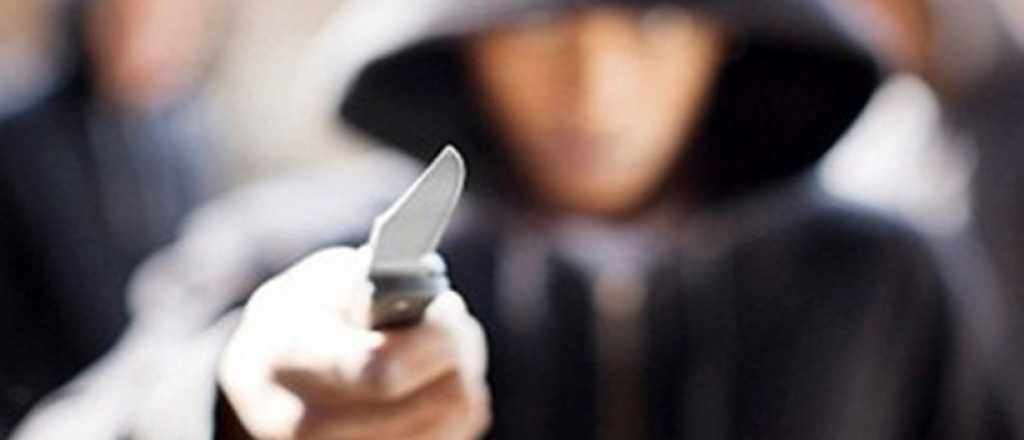 Robó, se peleó con un cuchillo contra la Policía y fue detenido