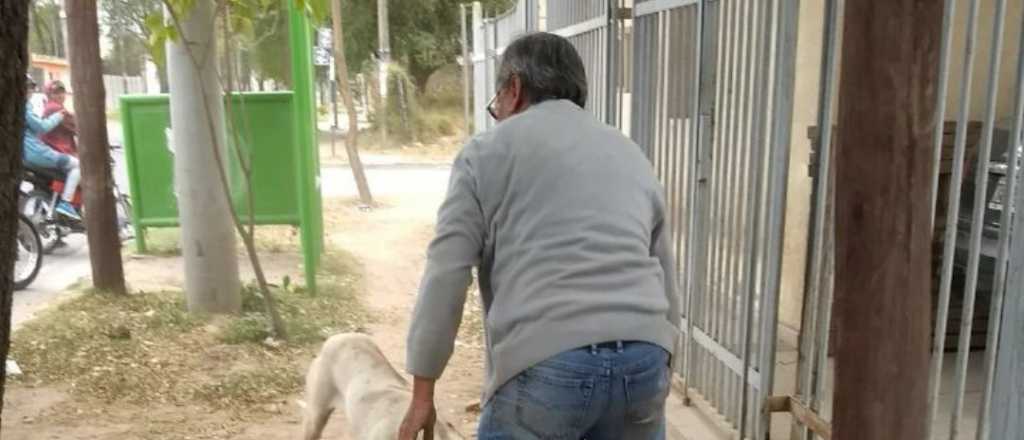 Buscan aumentar las penas por maltrato animal