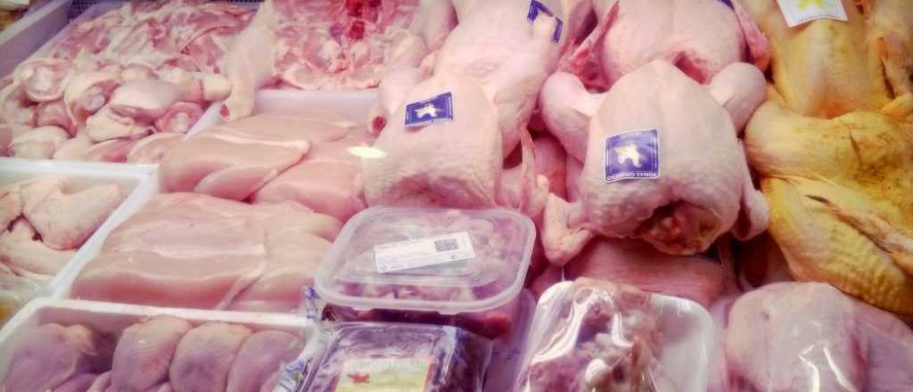 Desmienten que se utilicen hormonas en la alimentación de los pollos