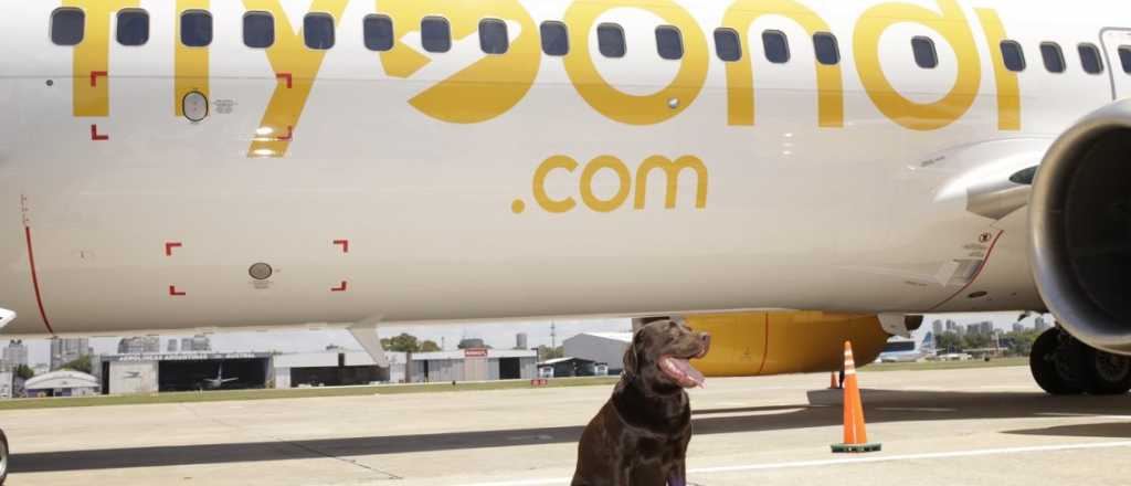 Debió aterrizar en Córdoba un vuelo de Flybondi con destino a Mendoza