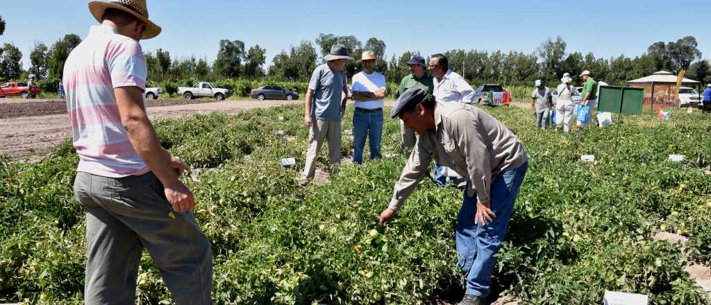 Creció la brecha de precios entre el productor y el consumidor