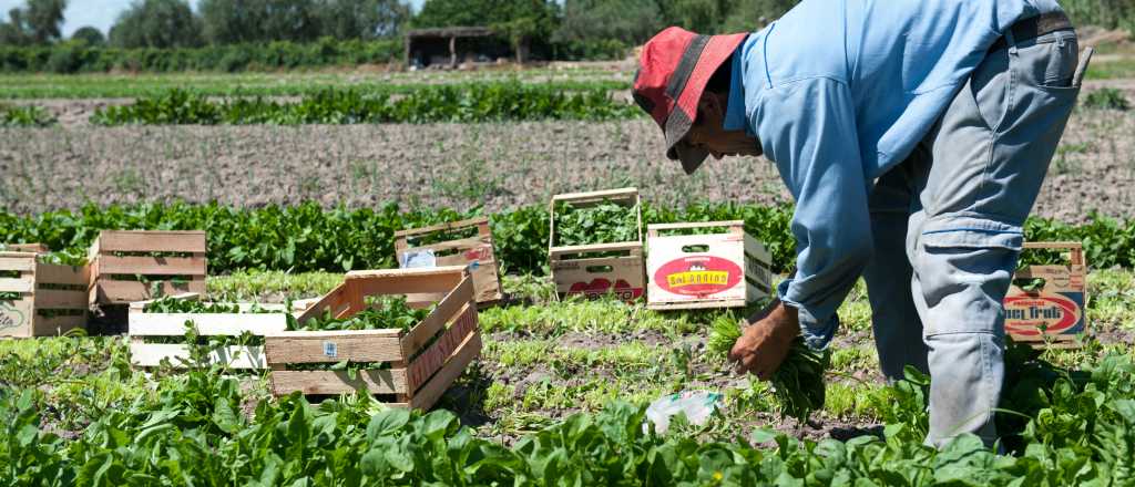 Los trabajadores rurales no perderán los planes sociales