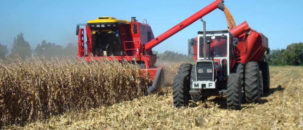 Cómo afecta la intervención estatal en la producción: beneficiados y perjudicados