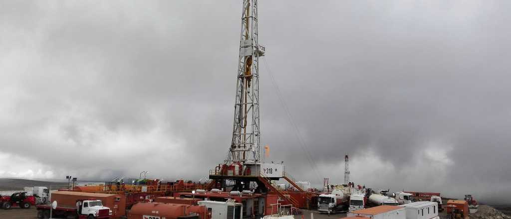 Peregrinan en Mendoza contra el fracking con un olivo bendecido por el Papa