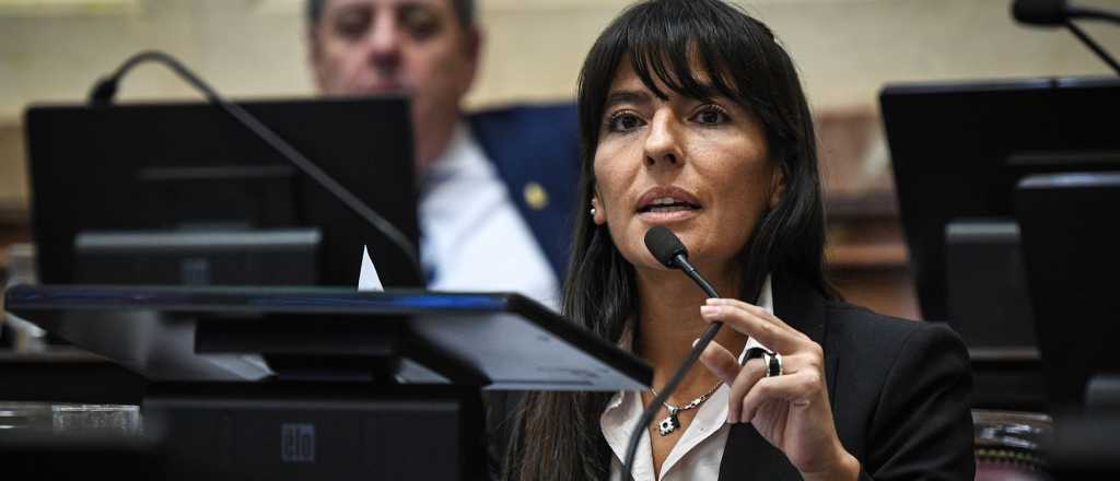 La mendocina que desató la pelea en el Senado