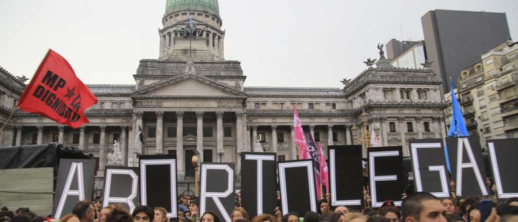 Aborto legal, a favor y en contra: así fundamentarán su voto Carmona  y Zamarbide