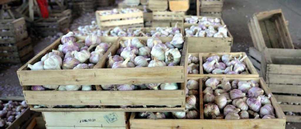 Productos agrícolas: se redujo la brecha entre productor y consumidor