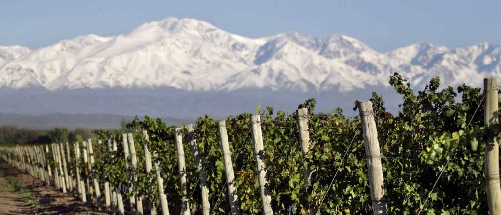 Mendoza, único destino argentino recomendado por Forbes