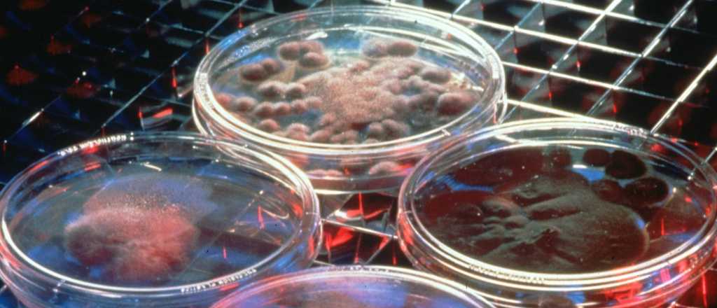 Una experiencia y claves sobre el origen de la vida