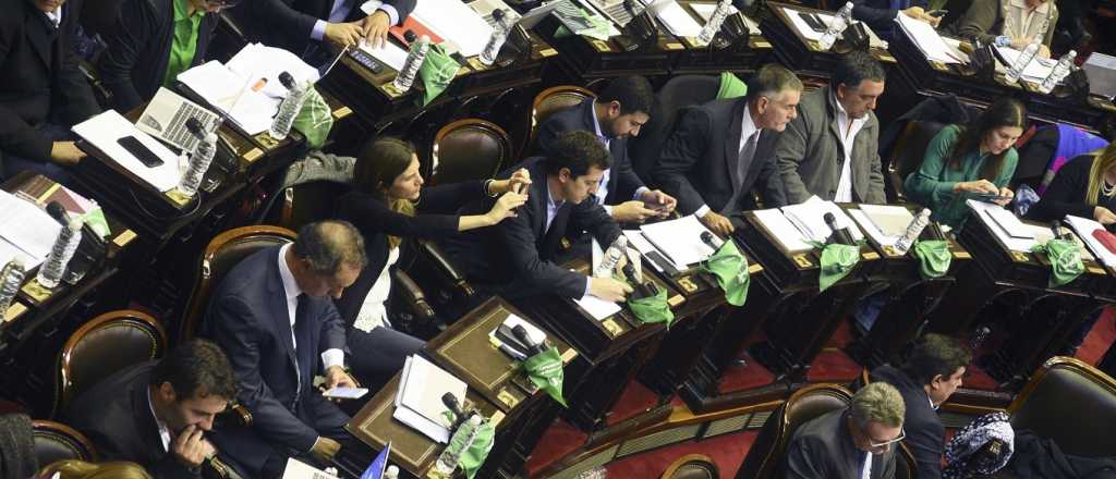 Pañuelos verdes y celestes: diputados anticipan su voto