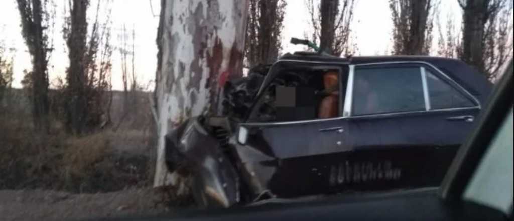 Se estrelló contra un árbol y abandonó al acompañante herido