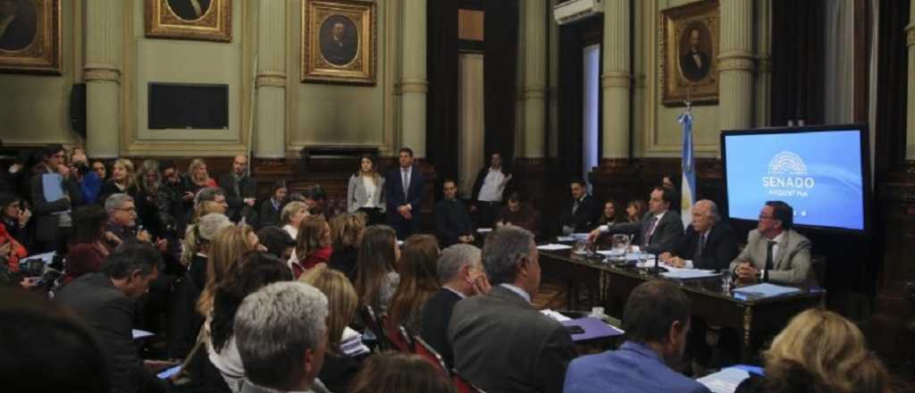 Los senadores votarán el proyecto sobre aborto como vino de Diputados