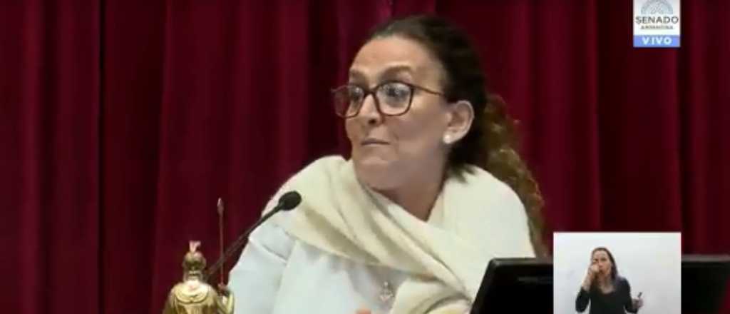 Micrófono "botón": Michetti insultó al senador de Cambiemos Luis Naidenoff