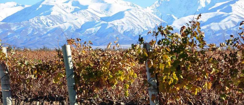 El tiempo en Mendoza: jornada agradable con suba de temperatura