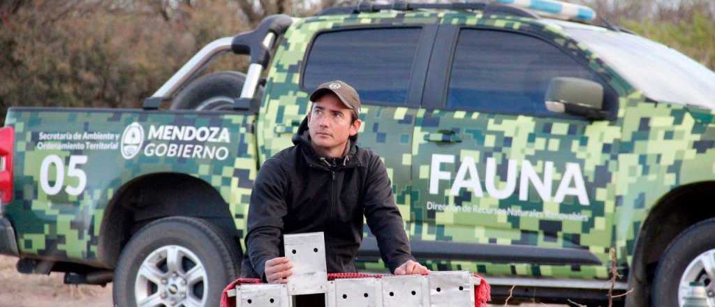 Vendían aves silvestres en Luján: tres detenidos