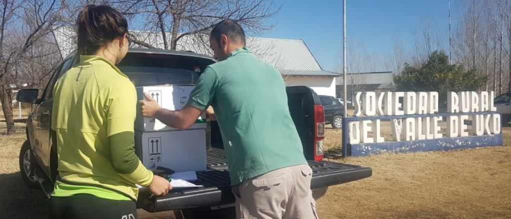 Comenzó la entrega de insumos contra la Lobesia Botrana en el Valle de Uco