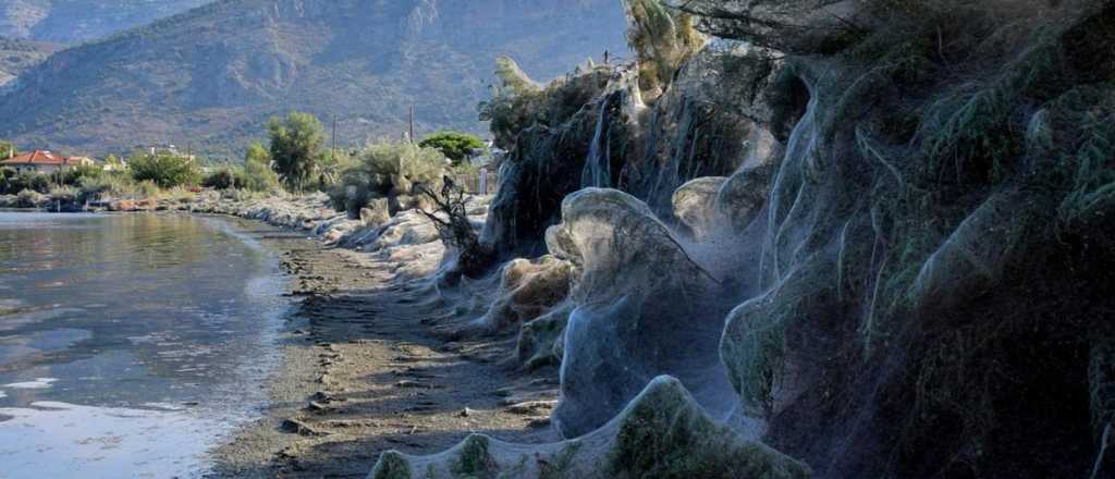 Una playa griega amenció cubierta de telarañas