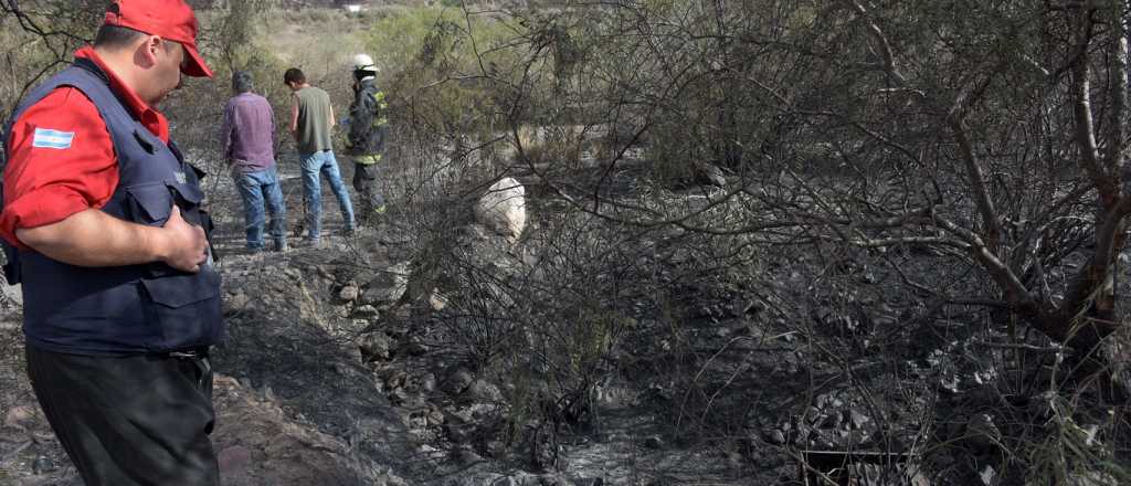 Cómo es el protocolo de Mendoza para apagar incendios con aviones