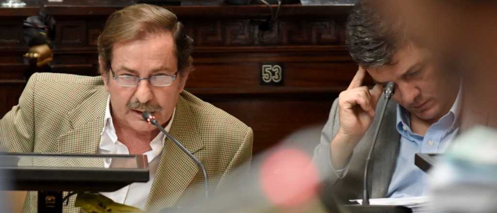 Un centenar de "gansos" dirán si el PD sigue en Cambia Mendoza