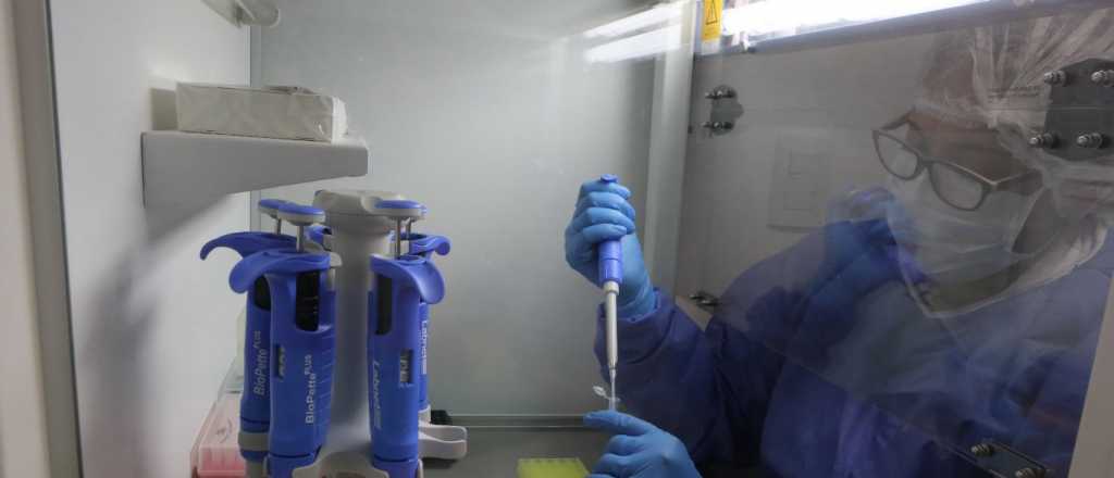 Gracias al nuevo banco de ADN ya se esclarecieron 22 delitos