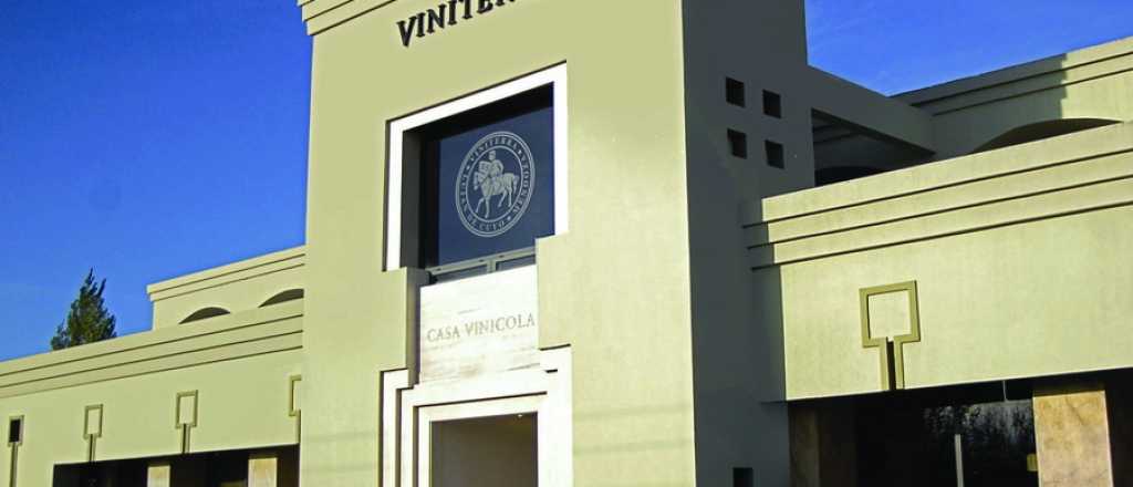 Viniterra "del Este" comenzará a operar en 2019