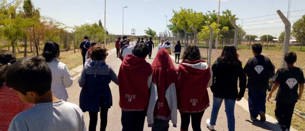 Los chicos que combaten a la mosca del mediterráneo