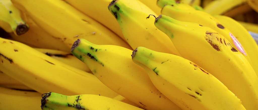 Potente fertilizante con cáscaras de banana