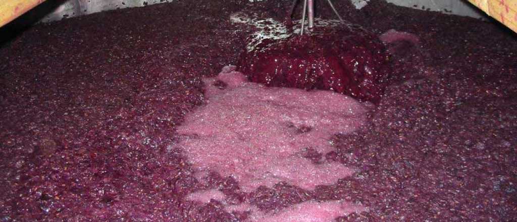 Qué es la "fermentación diferida" que genera polémica en Mendoza
