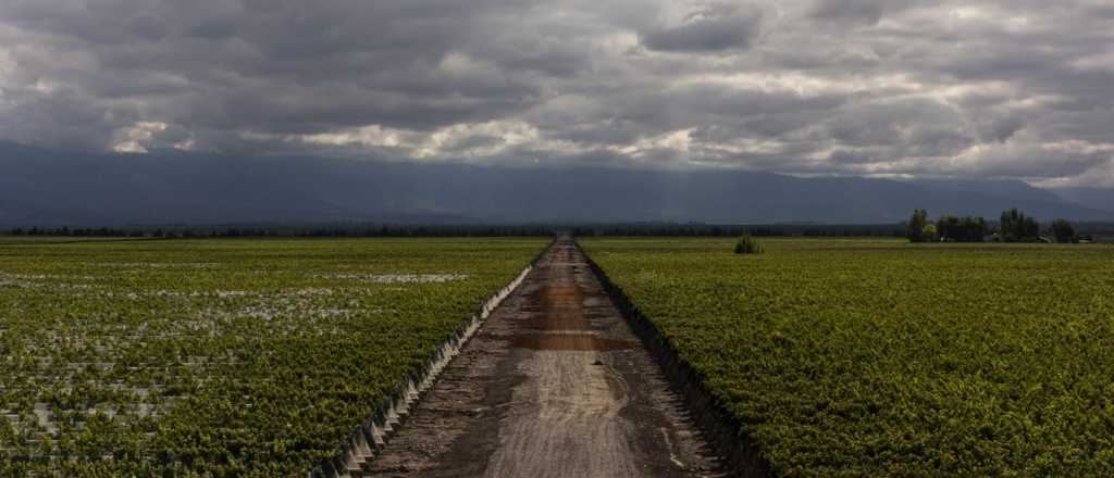 La magia del Valle de Uco, retratada en fotos imperdibles