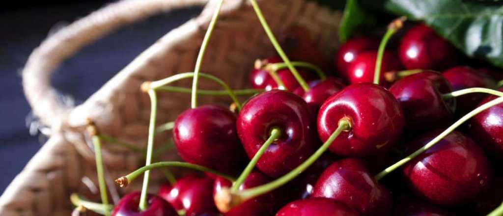 Cerezas mendocinas ingresarán por primera vez a China 