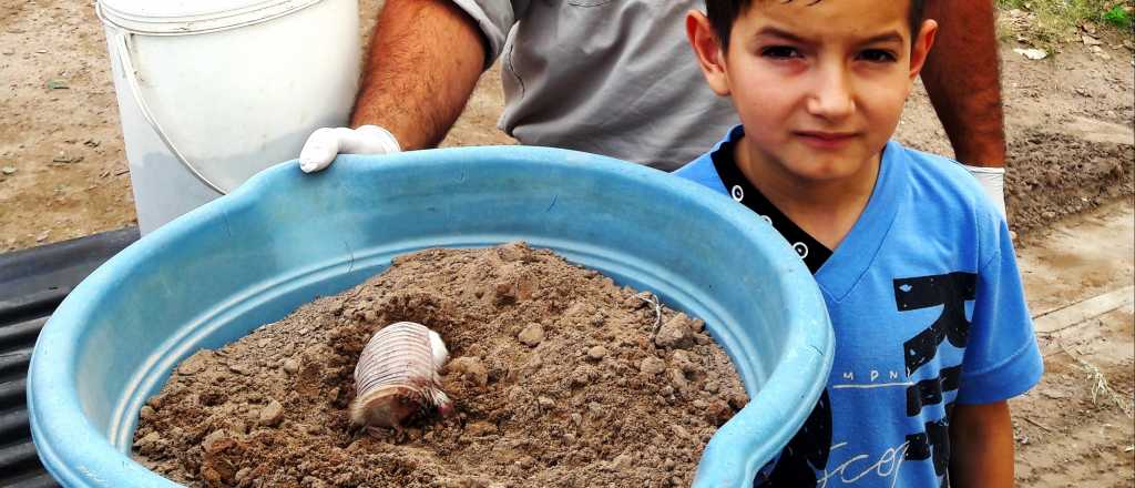 Seis especies en peligro de extinción habitan en Mendoza