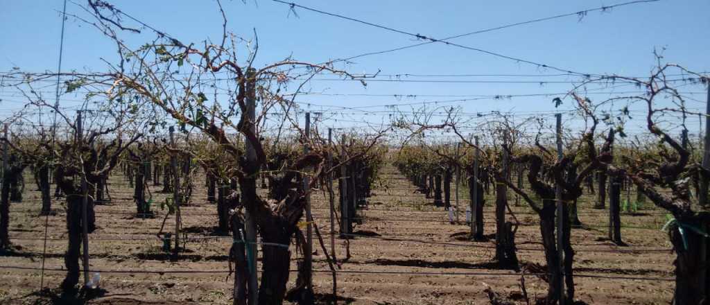 Santa Rosa, afectada por la tormenta y el granizo 