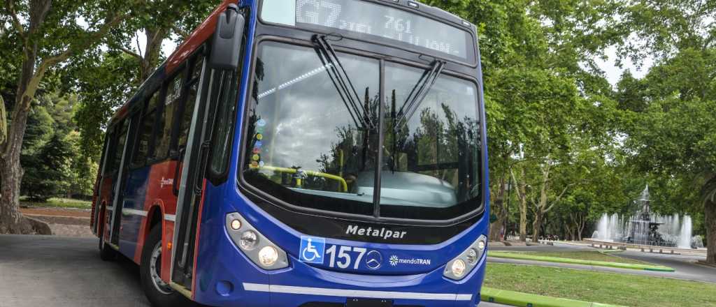 Un colectivero, asaltado, baleado y apuñalado durante un robo en Luján