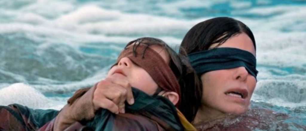 Por los accidentes, Netflix pidió que dejen de hacer el "Bird Box Challenge"