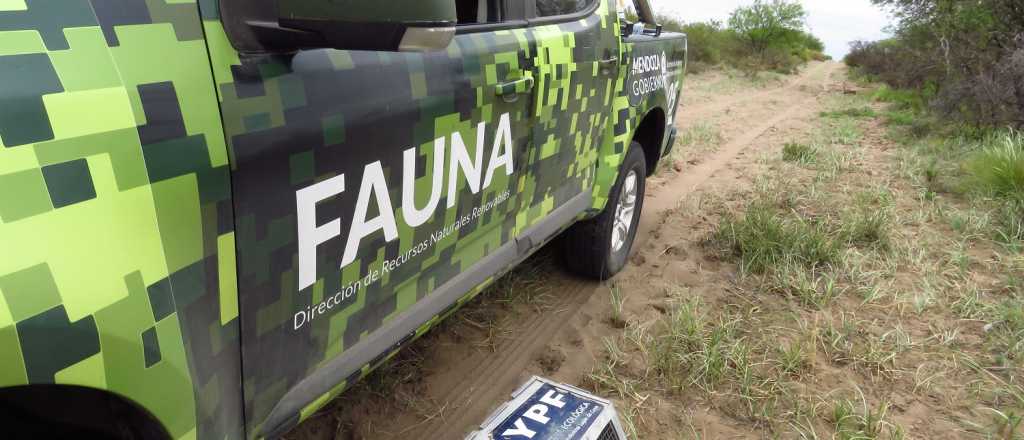 Trasladaron aves rescatadas del tráfico ilegal a Santa Fe