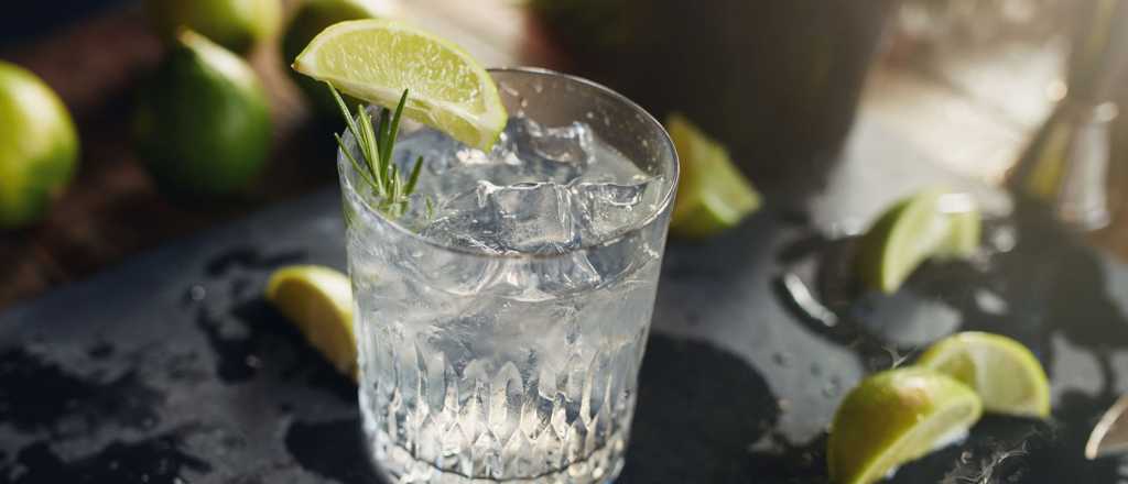 Lanzaron un Gin Tonic en lata "made in Mendoza"