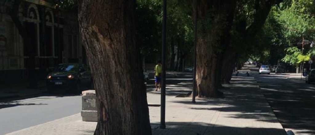 Este domingo calle Mitre es peatonal, con desvío del transporte en Ciudad