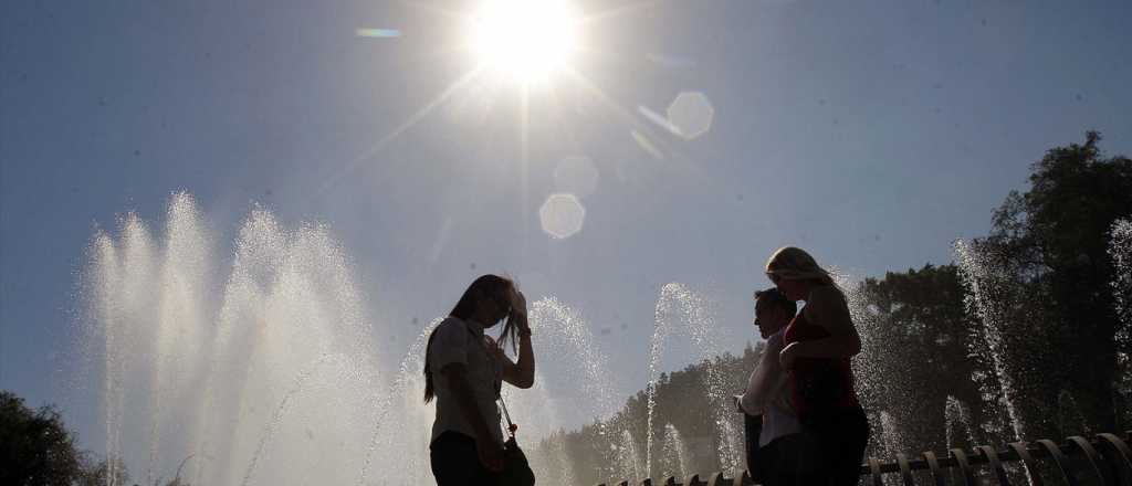 Los niveles de vitamina D ahora se pueden medir con un pelo