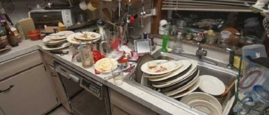 Video: las extrañas criaturas que encontraron en una cocina