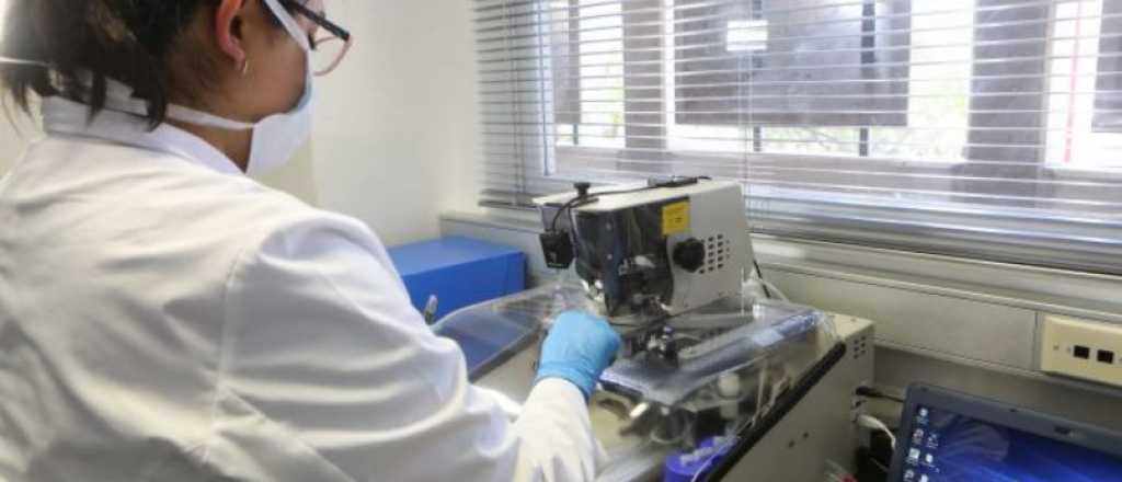 El registro de ADN en Mendoza ayudó a aclarar 170 delitos